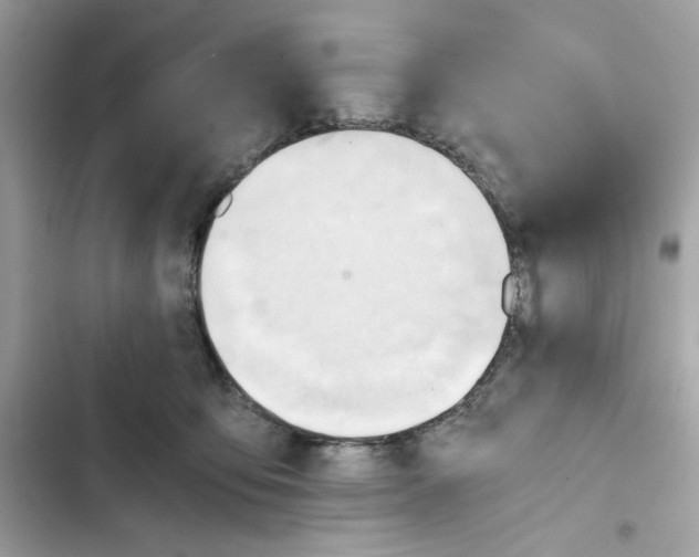 X0000101960419200808151319