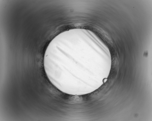 X0000101960421200808151319