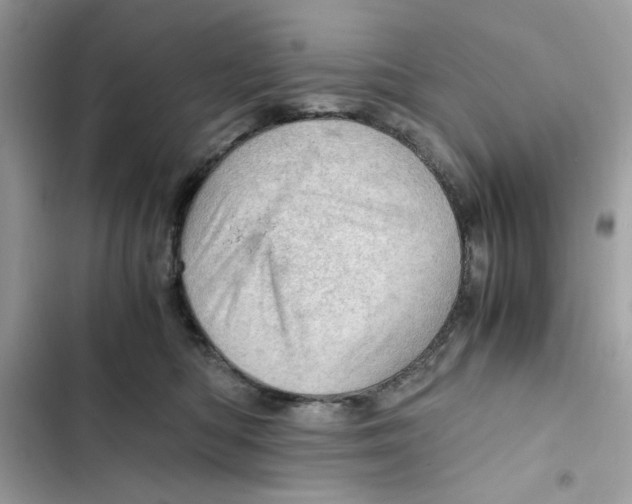 X0000101960422200808151319