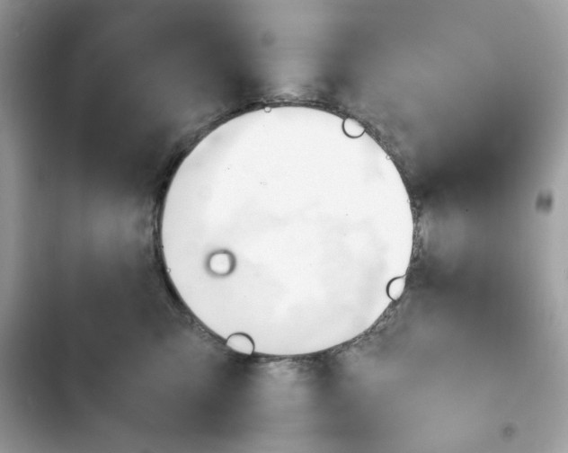 X0000101960423200808151319