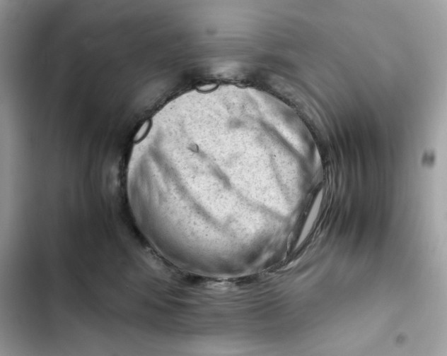 X0000101960424200808151319