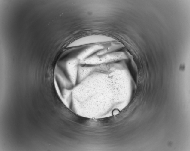 X0000101960425200808151319