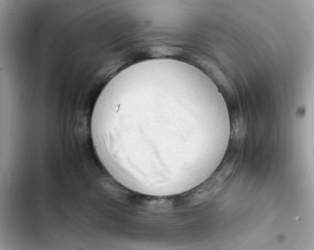 X0000101960426200808151319
