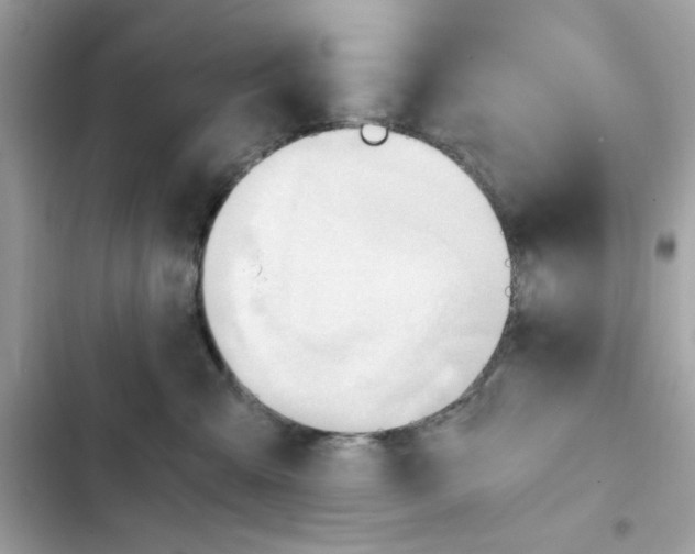 X0000101960427200808151319