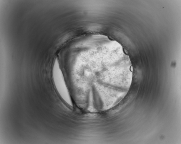 X0000101960428200808151319