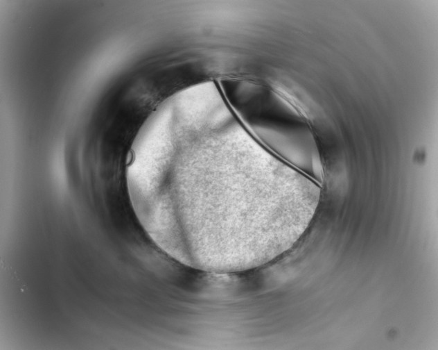 X0000101960429200808151319