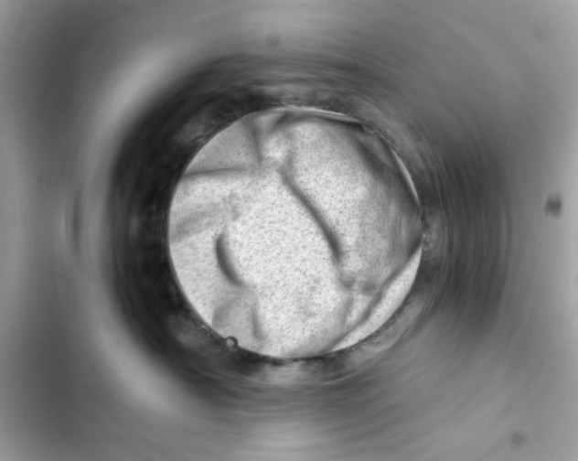 X0000101960430200808151319