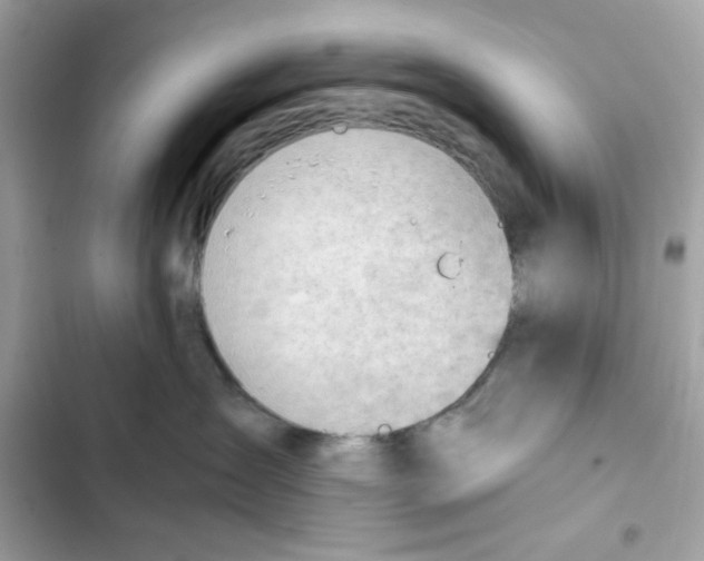 X0000101960431200808151319