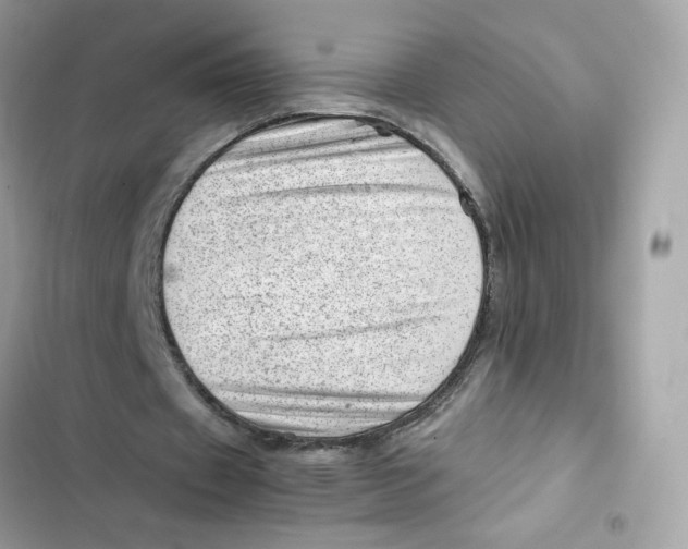 X0000101960433200808151319