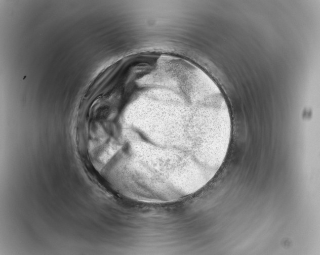 X0000101960434200808151319