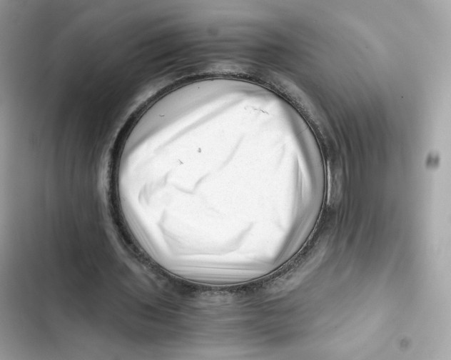 X0000101960435200808151319