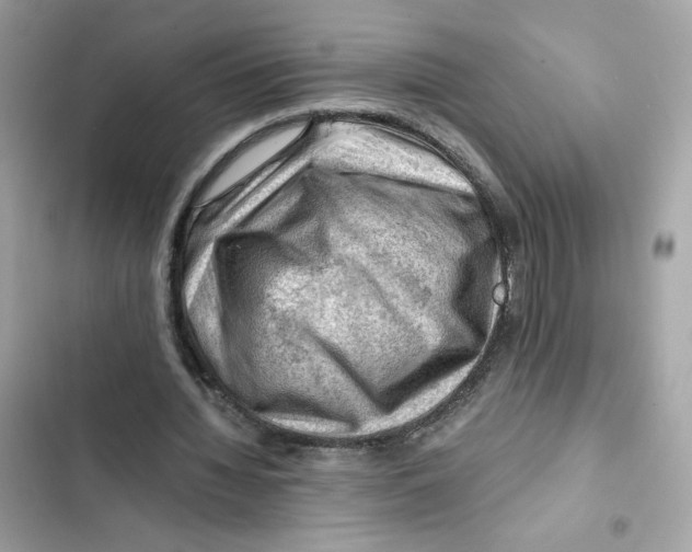 X0000101960436200808151319