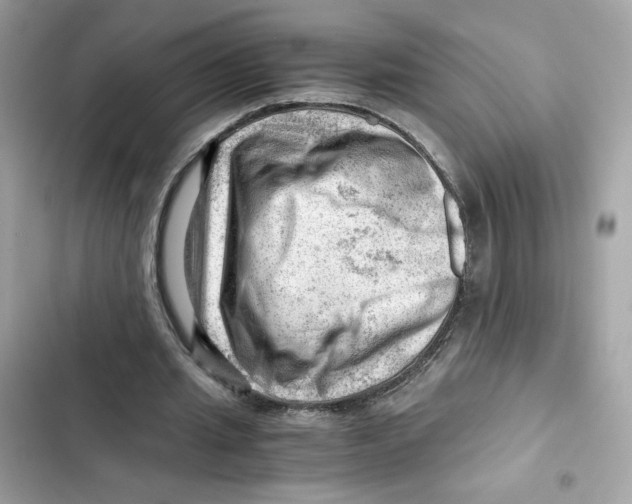 X0000101960437200808151319
