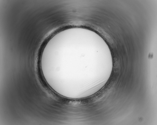 X0000101960440200808151319