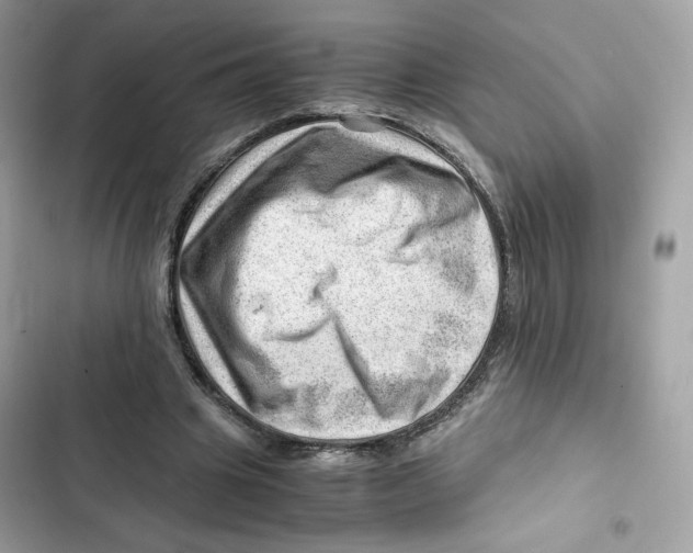 X0000101960441200808151319