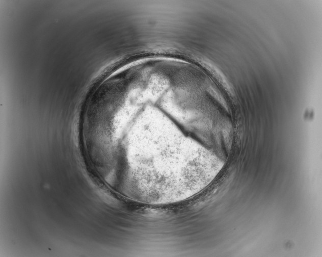 X0000101960442200808151319