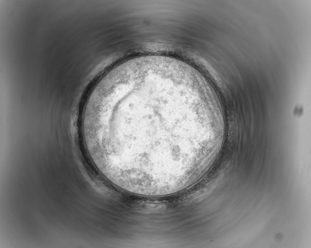 X0000101960443200808151319