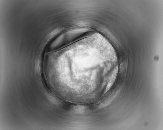 X0000101960444200808151319