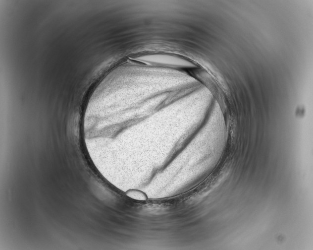 X0000101960445200808151319