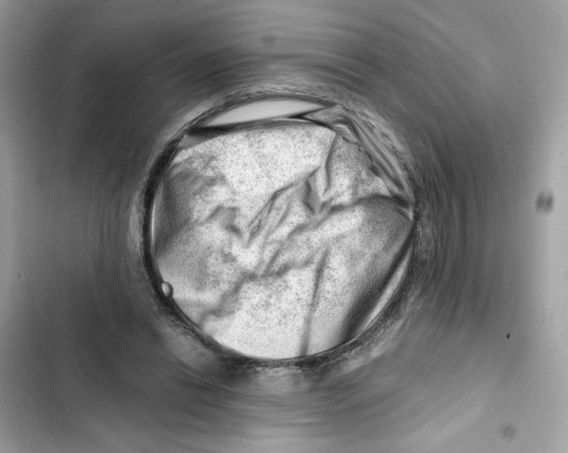 X0000101960446200808151319