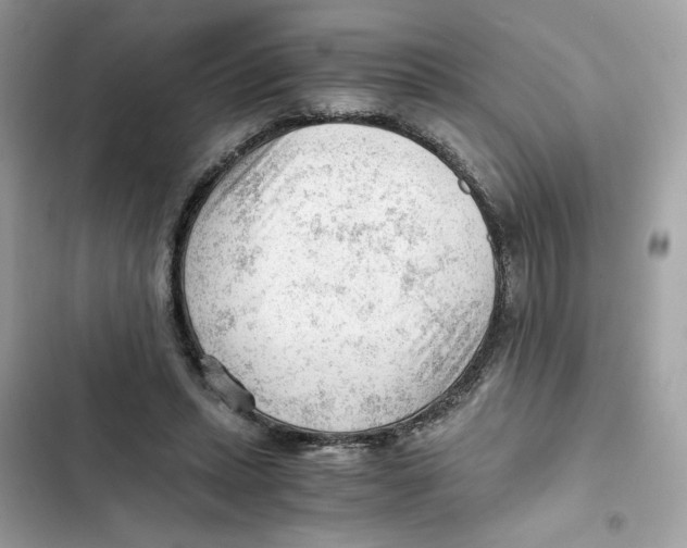 X0000101960447200808151319
