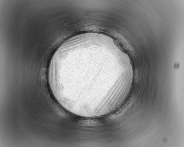 X0000101960449200808151319