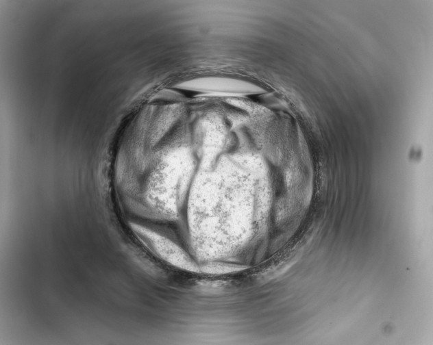 X0000101960450200808151319