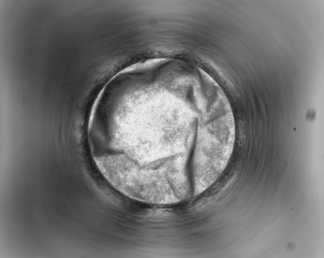 X0000101960451200808151319