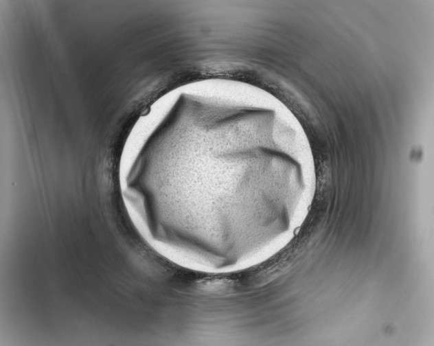 X0000101960452200808151319