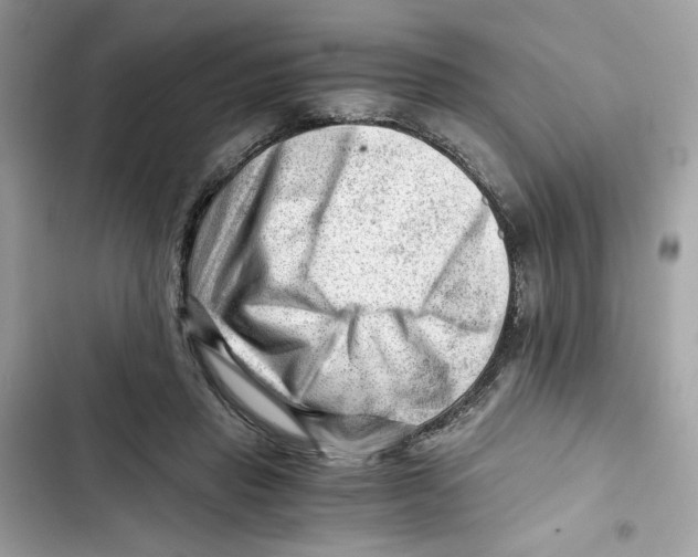 X0000101960453200808151319