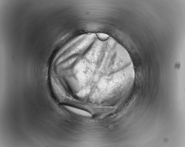 X0000101960454200808151319