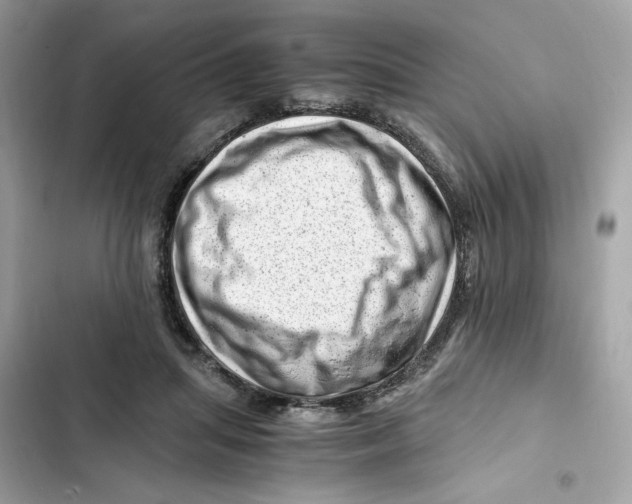 X0000101960455200808151319