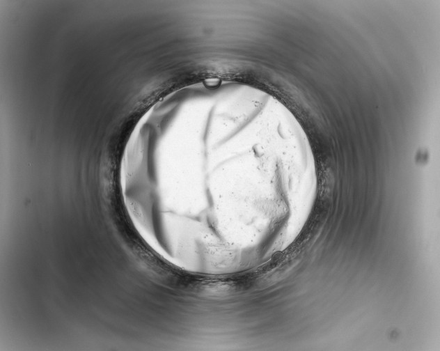 X0000101960456200808151319