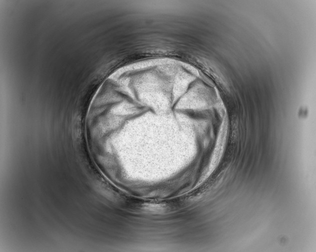 X0000101960457200808151319
