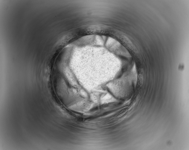 X0000101960458200808151319