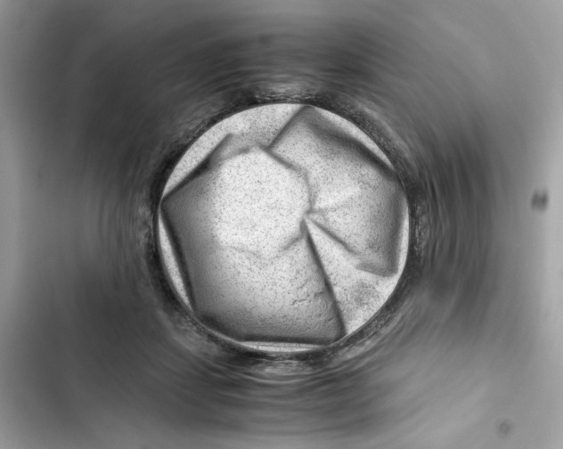 X0000101960459200808151319