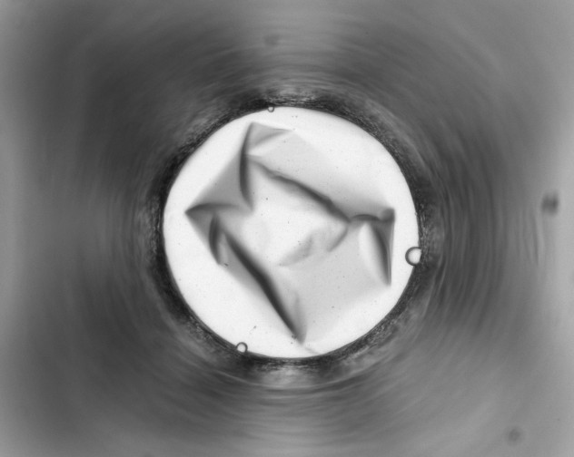X0000101960460200808151319