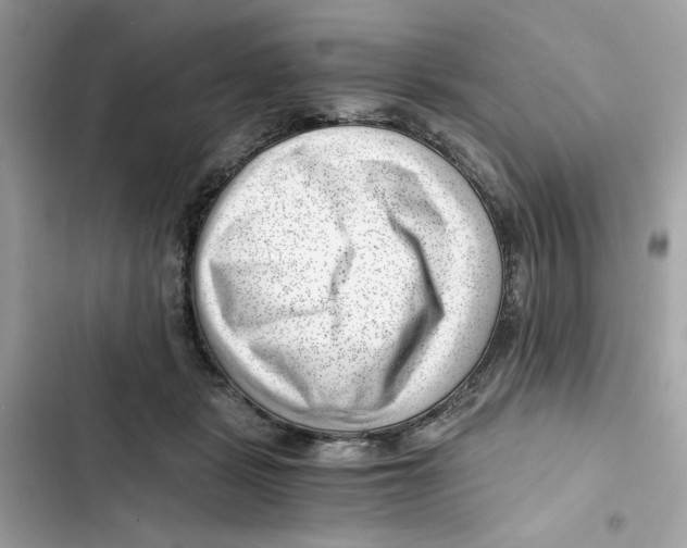 X0000101960461200808151319