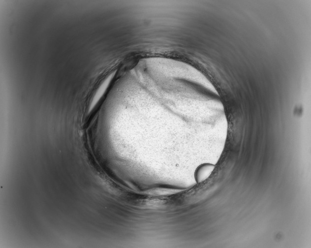X0000101960462200808151319