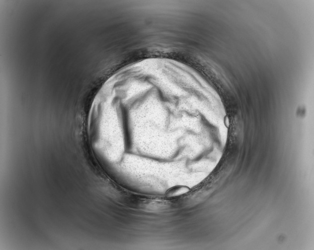 X0000101960463200808151319