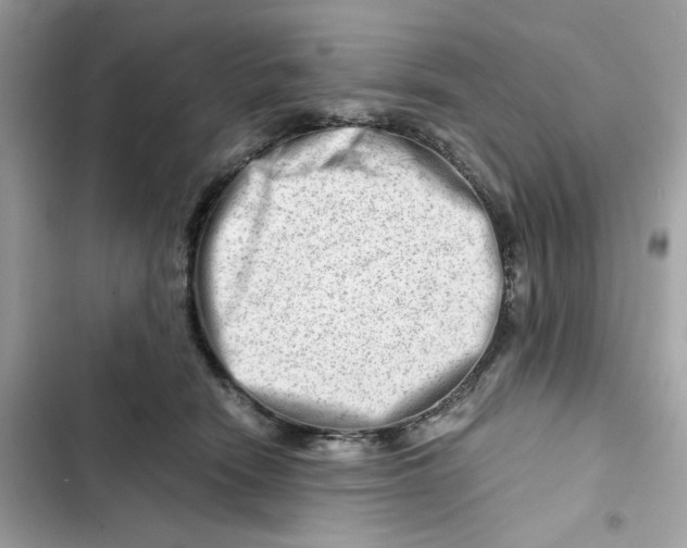 X0000101960466200808151319