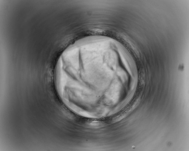 X0000101960467200808151319