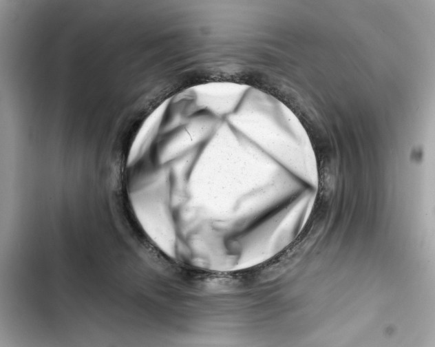X0000101960468200808151319