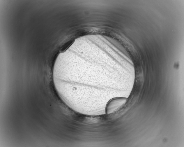 X0000101960469200808151319