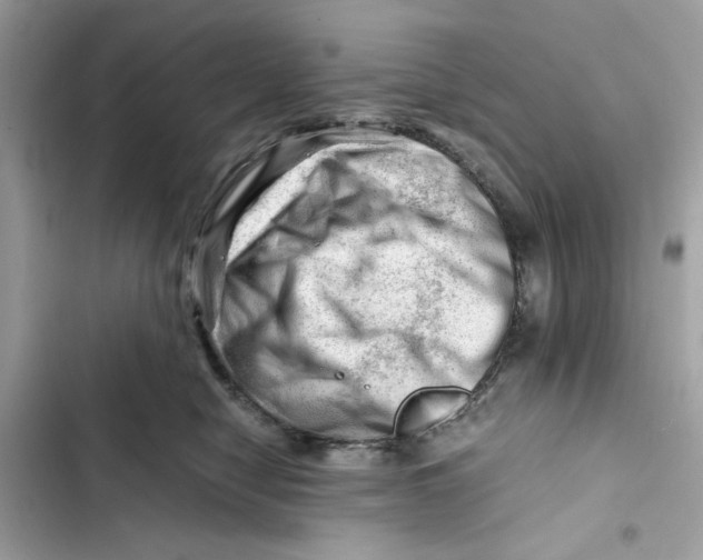 X0000101960470200808151319
