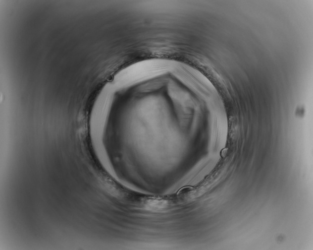 X0000101960471200808151319