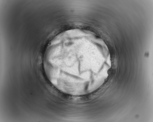 X0000101960472200808151319