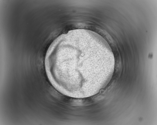 X0000101960473200808151319
