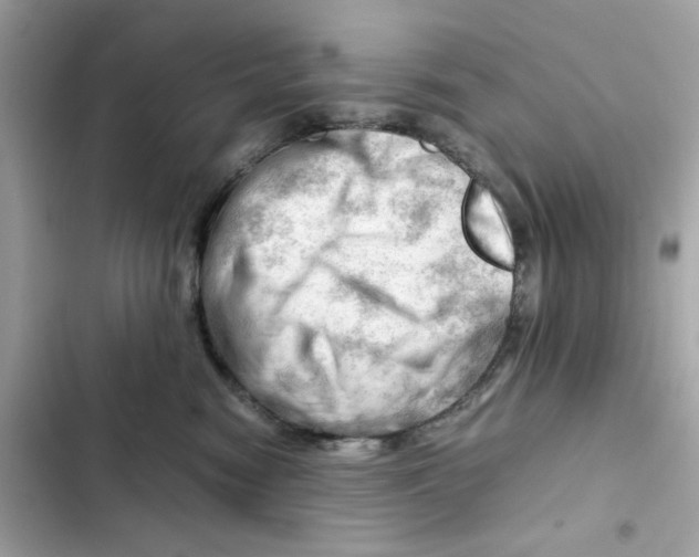 X0000101960474200808151319