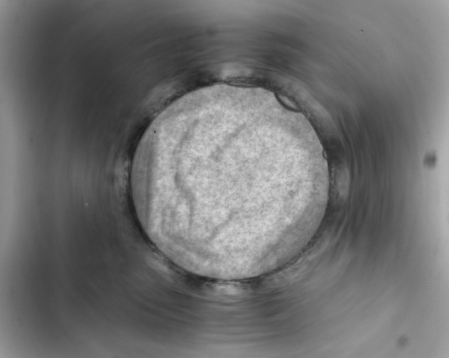 X0000101960475200808151319